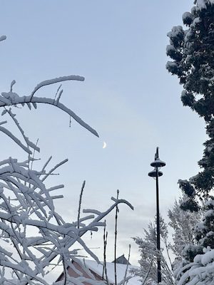 Zimowe niebo z p&oacute;łksiężycem i drzewami pokrytymi śniegiem. Symbol przejścia między ciemnością a światłem, ciszą a odwagą &mdash; metafora wewnętrznego mostu pomiędzy strachem a spełnieniem.