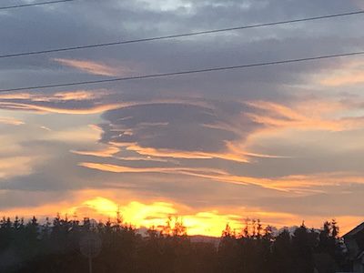 Spokojny krajobraz — otwarta przestrzeń symbolizująca ciszę i zatrzymanie pośród przedświątecznego pośpiechu.